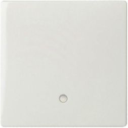 ELSO 363344 Touch surface 1-way with illuminated marking JOY pure white