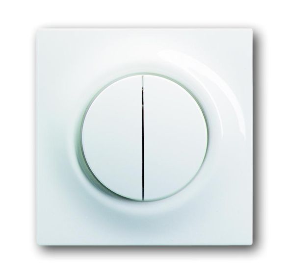 Busch-Jaeger 1785-74 central plate, with operating button and neon lamp alpine white