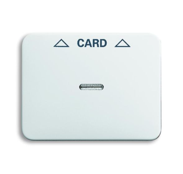 Busch-Jaeger 1792-24G-101 Central plate studio white high gloss