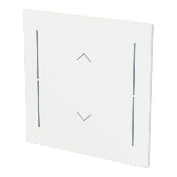 BUSCH-JAEGER LFAW/A.1.70.11-44G rocker for Keypad art linear | 1-way, arrows | studio white glossy