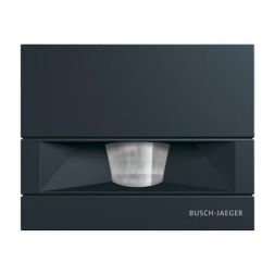 Busch-Jaeger 6854 AGM-35 Busch-Watchdog® 70 MasterLINE anthracite