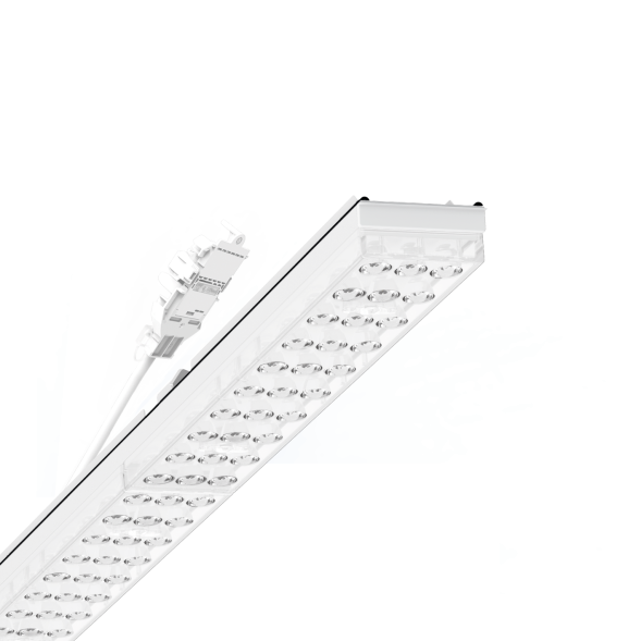 Regiolux 19467006200 SRGSODA/1500 12000 865 DALI IP54 vw LED device carrier