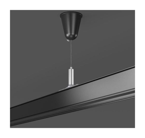 RZB 701073003 LP2000 with canopy rope pendulum