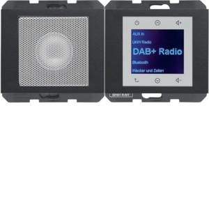 Berker 29807006 LSP DAB+ Kx ant matt Radio Touch