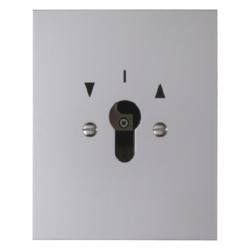 Berker 4412 blind key switch Up for profile half cylinder die-cast IP44