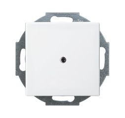 Busch-Jaeger 2527-914 Central plate, with support ring alpine white