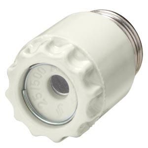 Siemens 5SH112 DIAZED screw cap DII 25A AC DC 500V ceramic