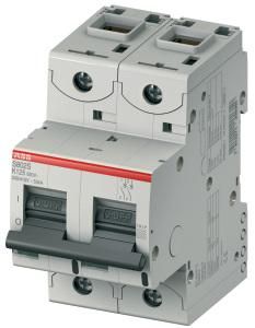 ABB Stotz-Kontakt S802S-K10, high-performance circuit breaker, 10A,K,400VAC=Icu 50kA,690VAC=Icu6kA,2P, 2CCS862001R0427