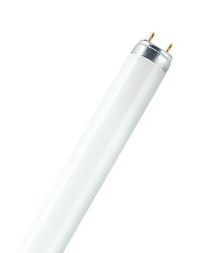 LEDVANCE Osram L 15W/830 fluorescent lamp 15W warm white