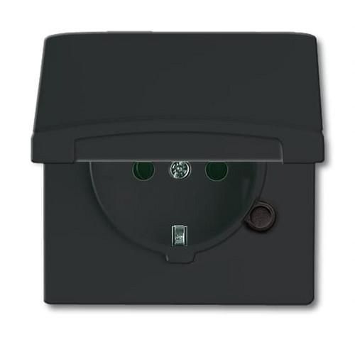 Busch-Jaeger 20 EUGK-35-101 SCHUKO® socket insert, with hinged cover anthracite