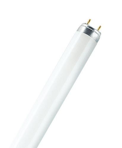 LEDVANCE Osram L 15W/840 fluorescent lamp 15W Coolwhite