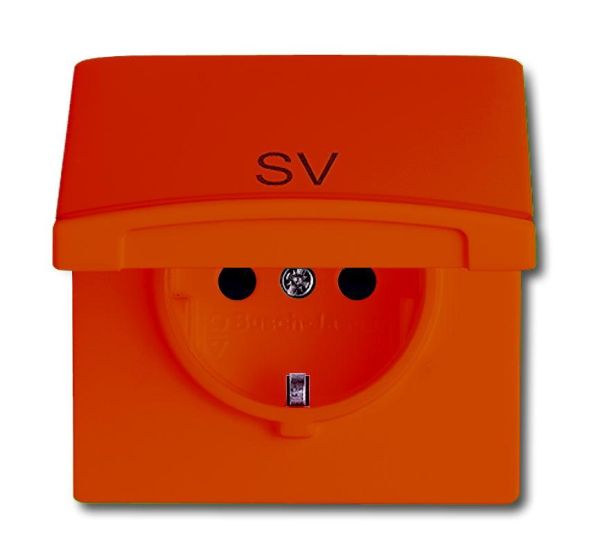 Busch-Jaeger 20 EUGKB-14-101 SCHUKO® socket insert, with hinged lid and print orange RAL 2004