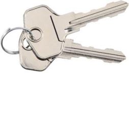 Elcom REH039Y BKS-200/220 mailbox key