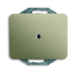 Busch-Jaeger 1742-260 blind central plate, with support ring palladium