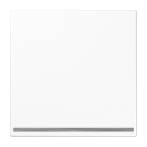 Jung LS1539-OOWWLNW LED orientation light, thermoplastic, LS series, alpine white