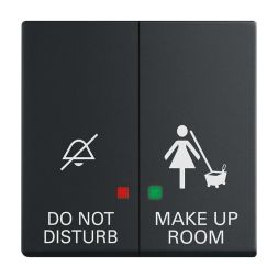 Busch-Jaeger 2CKA001751A3213 1785/11 K-885 DND/MUR rocker