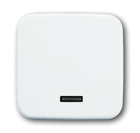 Busch-Jaeger 6543-214-102 Control element, with neon lamp alpine white