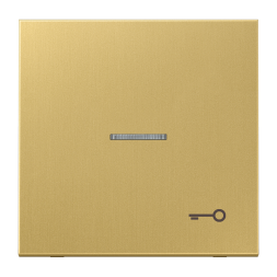 Jung ME2990KO5TC rocker with light guide, symbol door, brass, series LS, brass classic