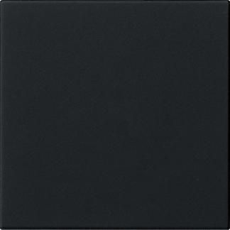 Gira 5372005 1f unprinted Sys 55 sw with rocker