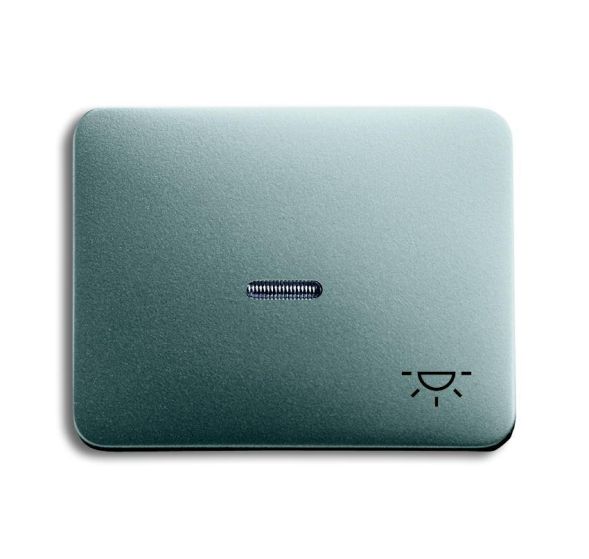 Busch-Jaeger 1789 LI-266 rocker with print, with small transparent dome titanium