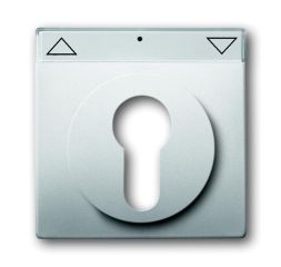 Busch-Jaeger 1755 SL/PZ-866-101 central plate, with labelling field stainless steel