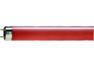 Philips 72748040 fluorescent lamp TL-D Colored 36W red 1SL/25
