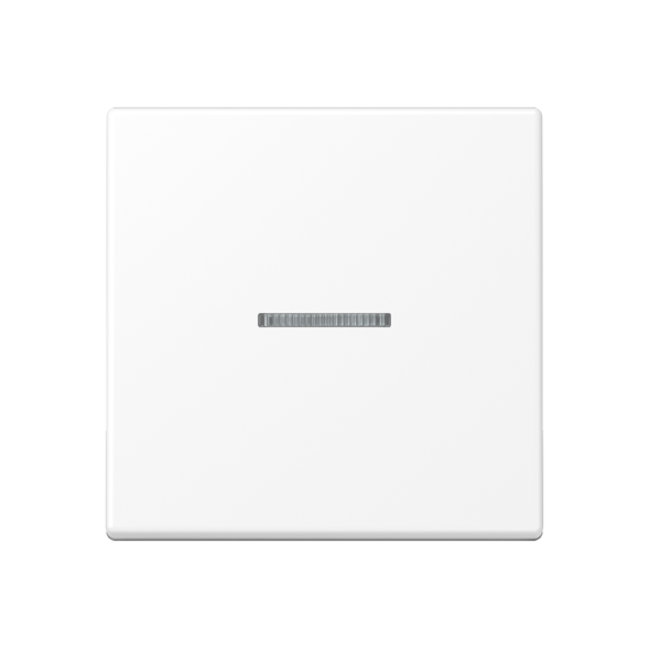 Jung FMA1700BFWWM eNet Standard radio control button