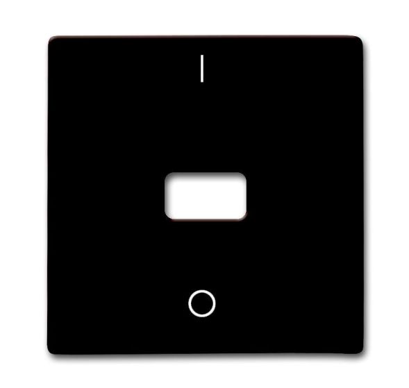 Busch-Jaeger 2108-31 rocker switch, with print, open for symbol brown