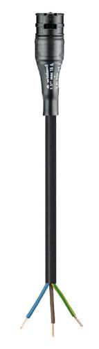 Wieland 96.232.8003.1 RST20I3K1B- 15P 80SW Assembled cable