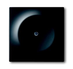 Busch-Jaeger 1742-775 blind central plate, with support ring black matt