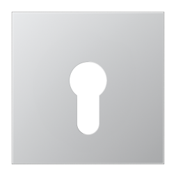 Jung AL2925 cover for key switch without dismantling protection, LS series, aluminium