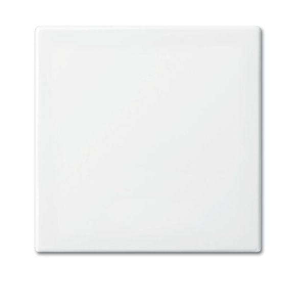 Busch-Jaeger 2506-914 rocker alpine white