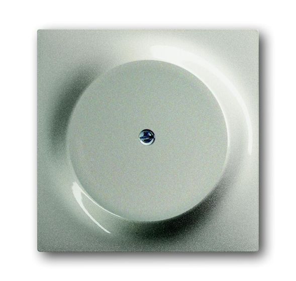 Busch-Jaeger 1742-79 blind central plate, with support ring champagne metallic