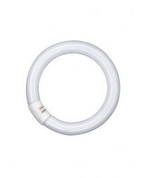 LEDVANCE Osram L 22W/827 C ring fluorescent lamp 22W INTERNA