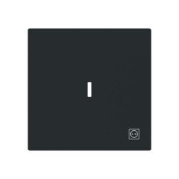 Busch-Jaeger 2CKA001751A3384 1789 ST-45M with symbol plug and transparent cover. Seesaw