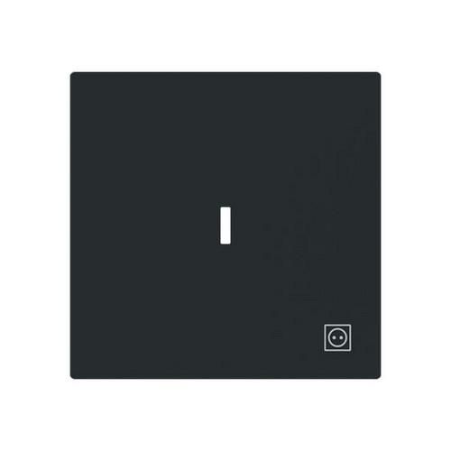 Busch-Jaeger 2CKA001751A3384 1789 ST-45M with symbol plug and transparent cover. Seesaw