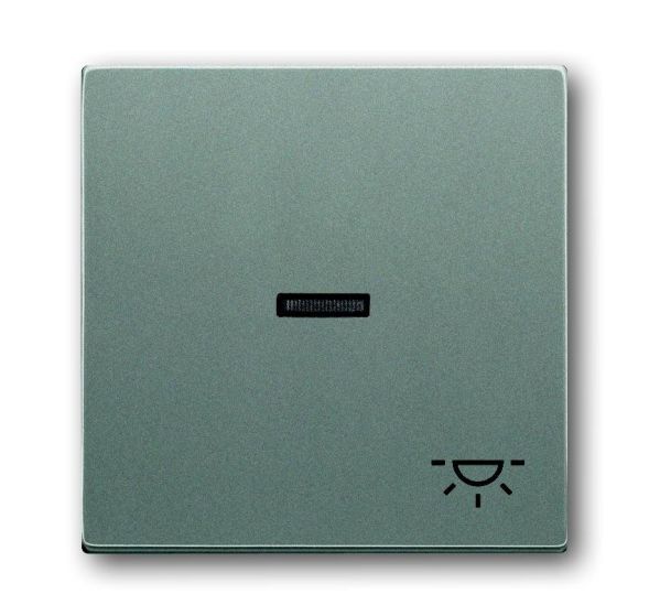 Busch-Jaeger 1789 LI-803 rocker with print, with small transparent dome, metallic grey