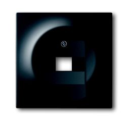 Busch-Jaeger 1803-775 central plate black matt