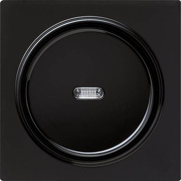 Gira 013647 push button control switch AusWe cover S-Color black