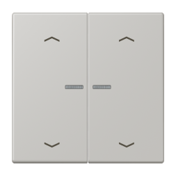 Jung BTLC17102P205 JUNG HOME button 2-way, with arrow symbols, LS series, gris clair 31