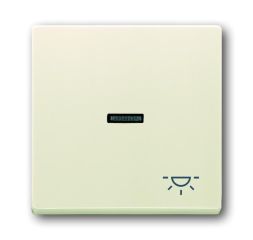 Busch-Jaeger 1789 LI-82 rocker with print, with small transparent dome ivory white