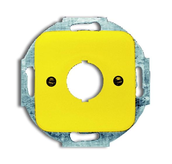 Busch-Jaeger 2533-214-15 central plate, with yellow support ring