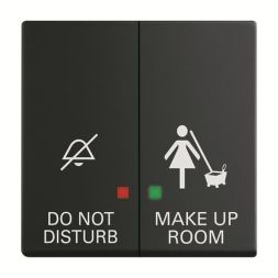 Busch-Jaeger 2CKA001751A3224 2058-24-885 DND/MUR Elek.push button rocker