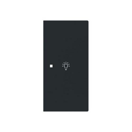 Busch-Jaeger 2CKA006220A0955 6231-22-45M 2-f.right with symbol light rocker