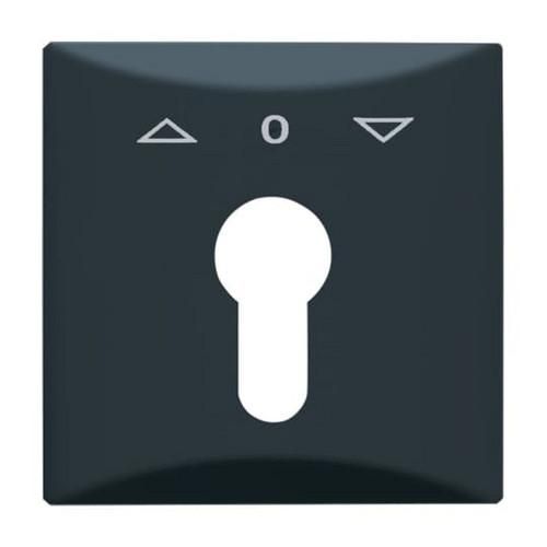 Busch-Jaeger 2155 PZ-35 central plate, with print anthracite