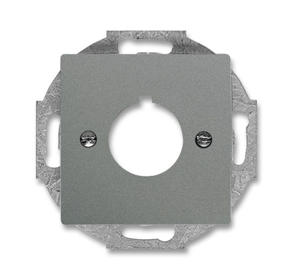 Busch-Jaeger 2533-803 central plate, with support ring, metallic grey