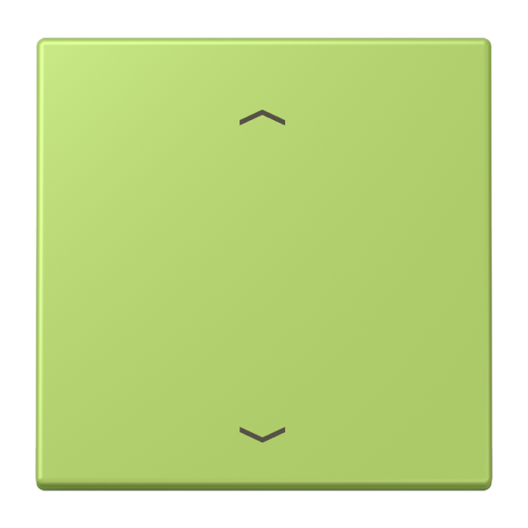 Jung LC101P221 rocker switch, with arrow symbols for 1-way button, LS series, vert clair